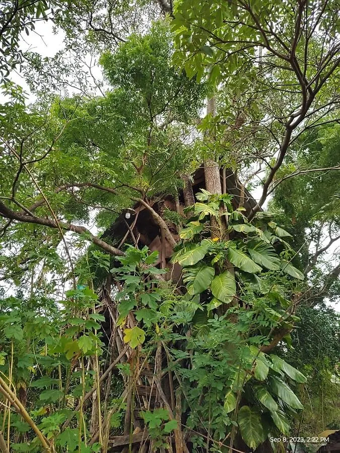 Sigiri Wild Lake Dambulla Bed & Breakfast