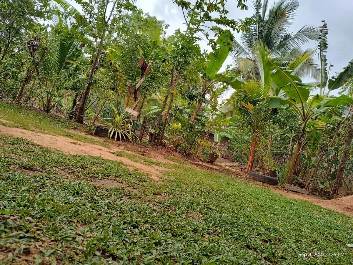 Sigiri Wild Lake Dambulla Sri Lanka