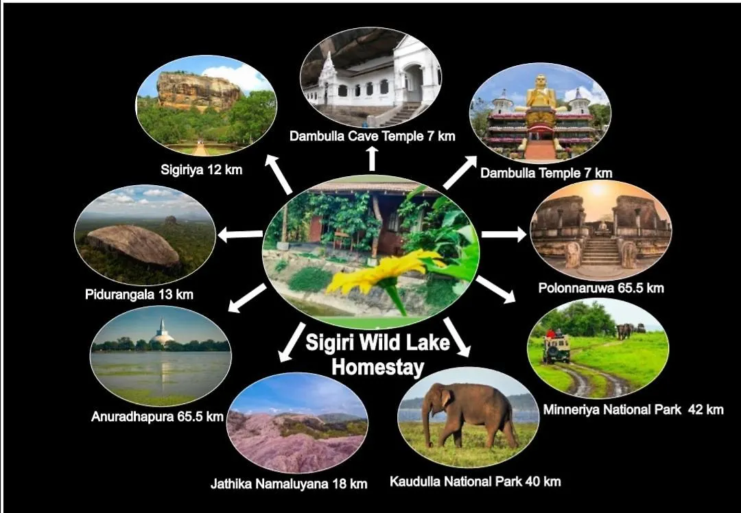 Bed & Breakfast Sigiri Wild Lake Dambulla Sri Lanka