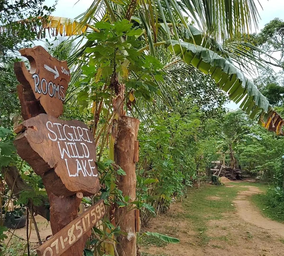 Bed & Breakfast Sigiri Wild Lake Dambulla Sri Lanka