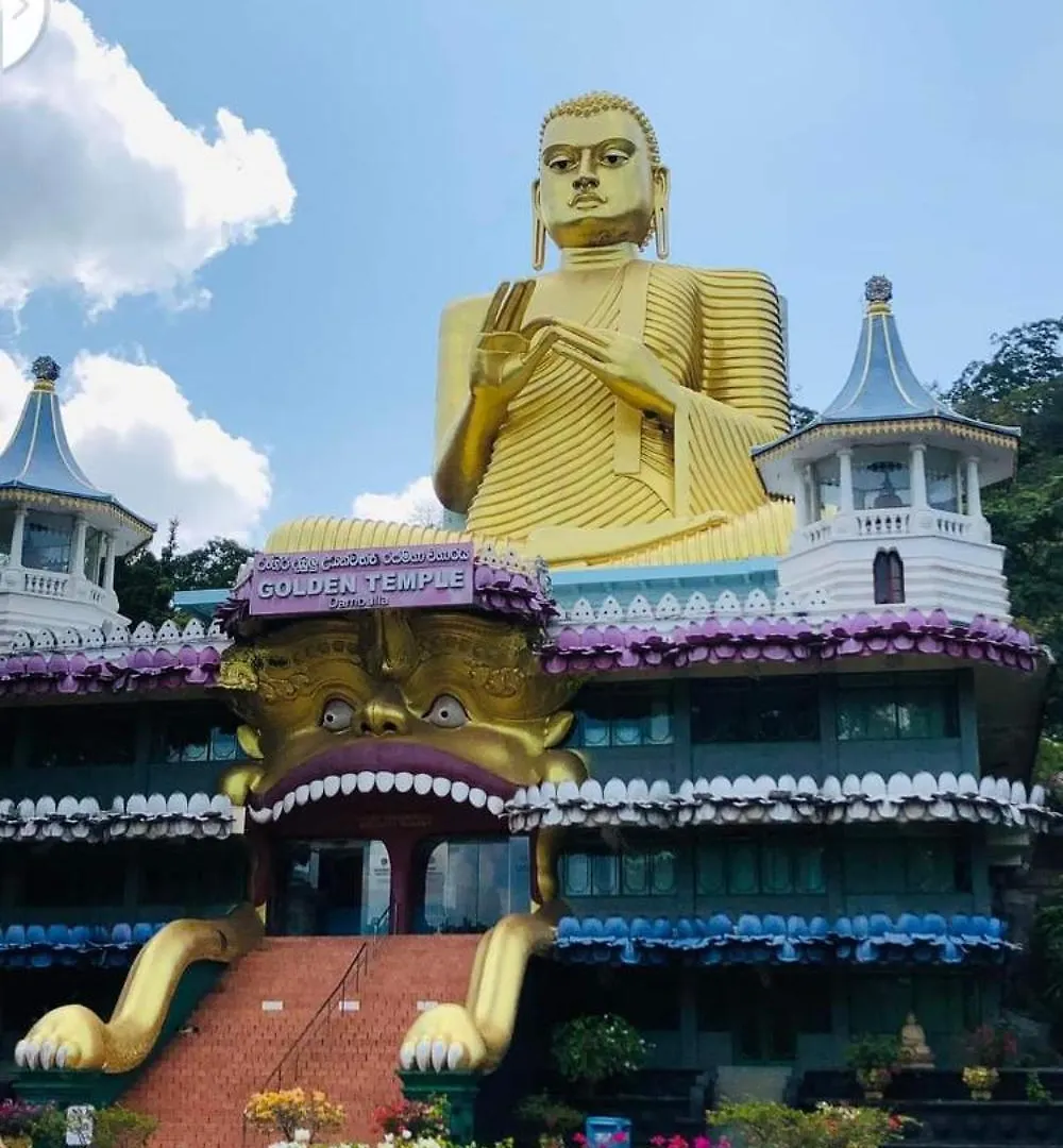 Sigiri Wild Lake Dambulla Bed & Breakfast