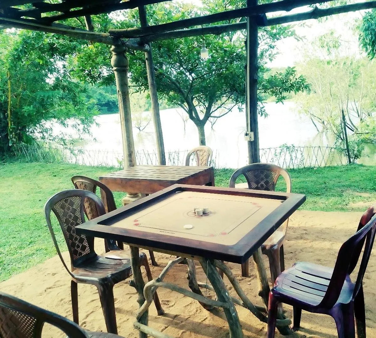 Sigiri Wild Lake Dambulla